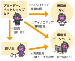 マイクロチップ装着・情報登録の流れ