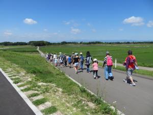 田んぼ移動