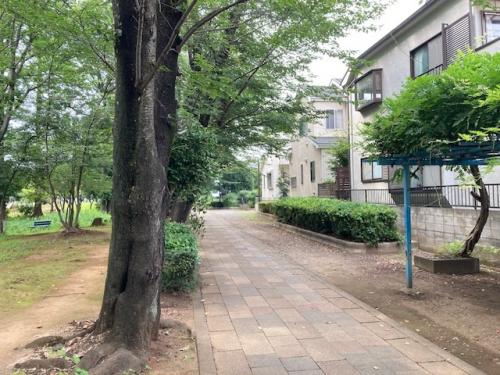 鴨川中央公園の様子