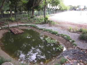 大石北小学校のビオトープ