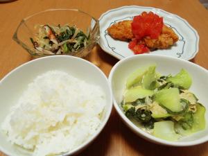 白飯・ささ身のにんにく風味衣揚げ・青梗菜と湯葉の中華風煮浸し・もやしとにらのナムル