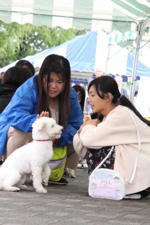 待てをする犬と飼い主