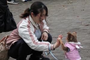 愛犬とハイタッチする参加者