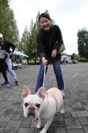 会場を満喫する犬と飼い主