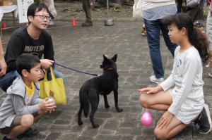 愛犬と飼い主