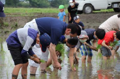 農業体験教室で田植えをする参加者と畠山市長