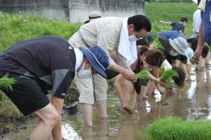 田植えをする畠山市長と参加者の写真