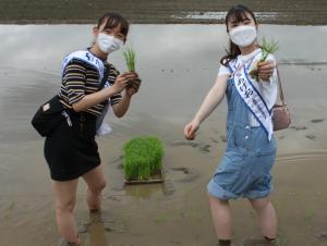 田植えをするキラリあげおＰＲ大使、フレッシュあげおの小林さんと鴨田さんの写真