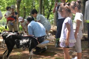 干し草をあげる子どもたち